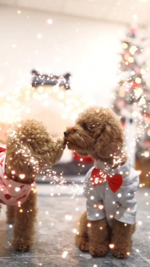 Instagram post by @teddy.the.prince for – Wlo Store. Caption reads: Do ALL things with Love 💕

Showing off our brand....