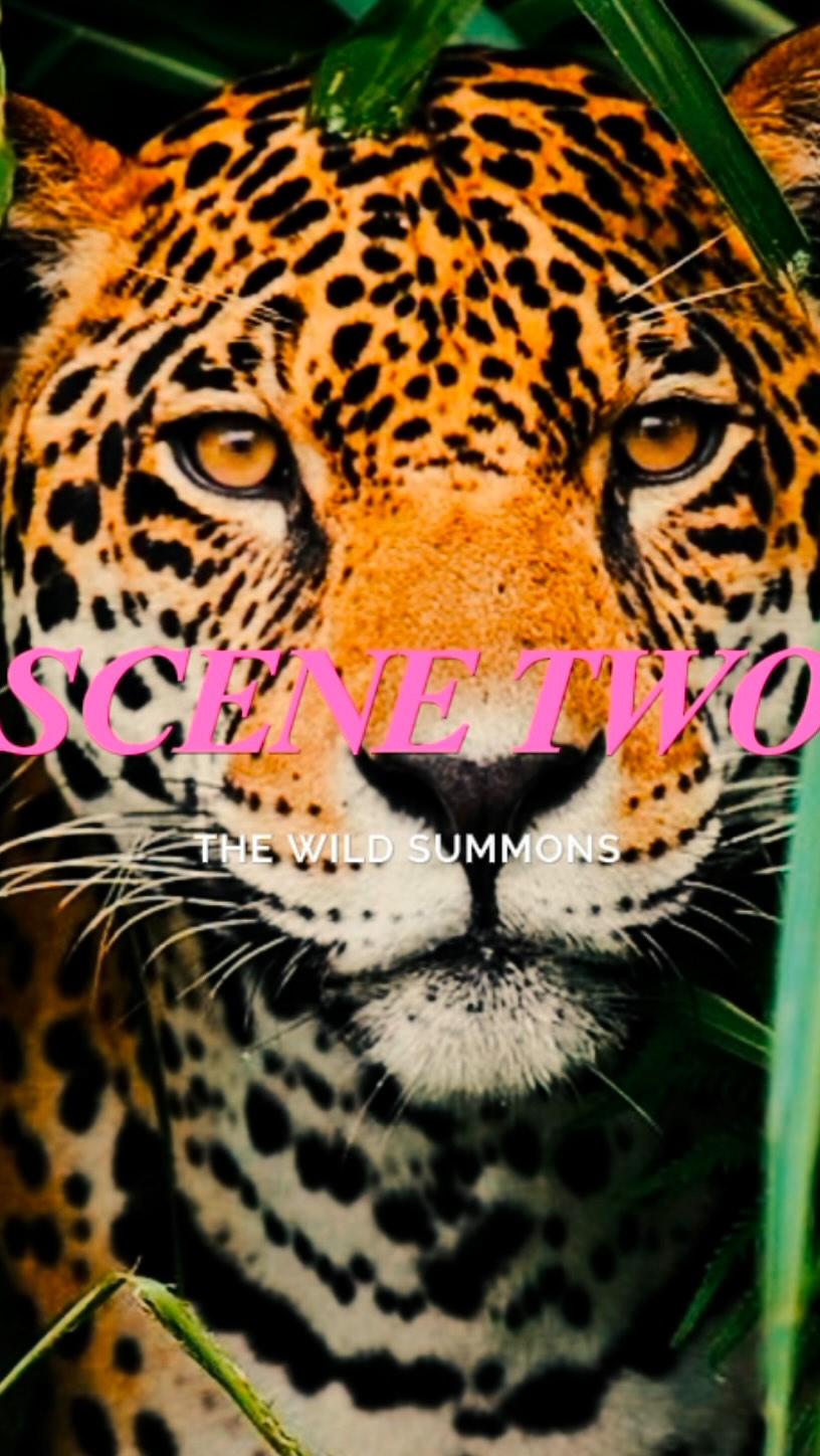 Instagram post by @el_bandito_guapoo for FashionPass. Caption reads: I used to beg the world to make room for me.
Now I....