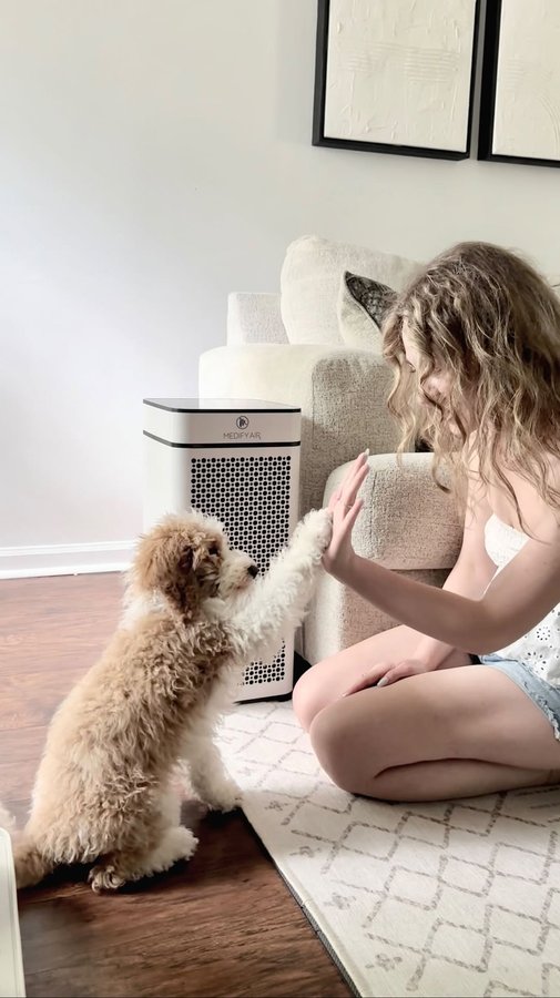 Instagram post by @busekkamci for Medify Air. Caption reads: [...] with a pet at home, so I got the Medify Air....