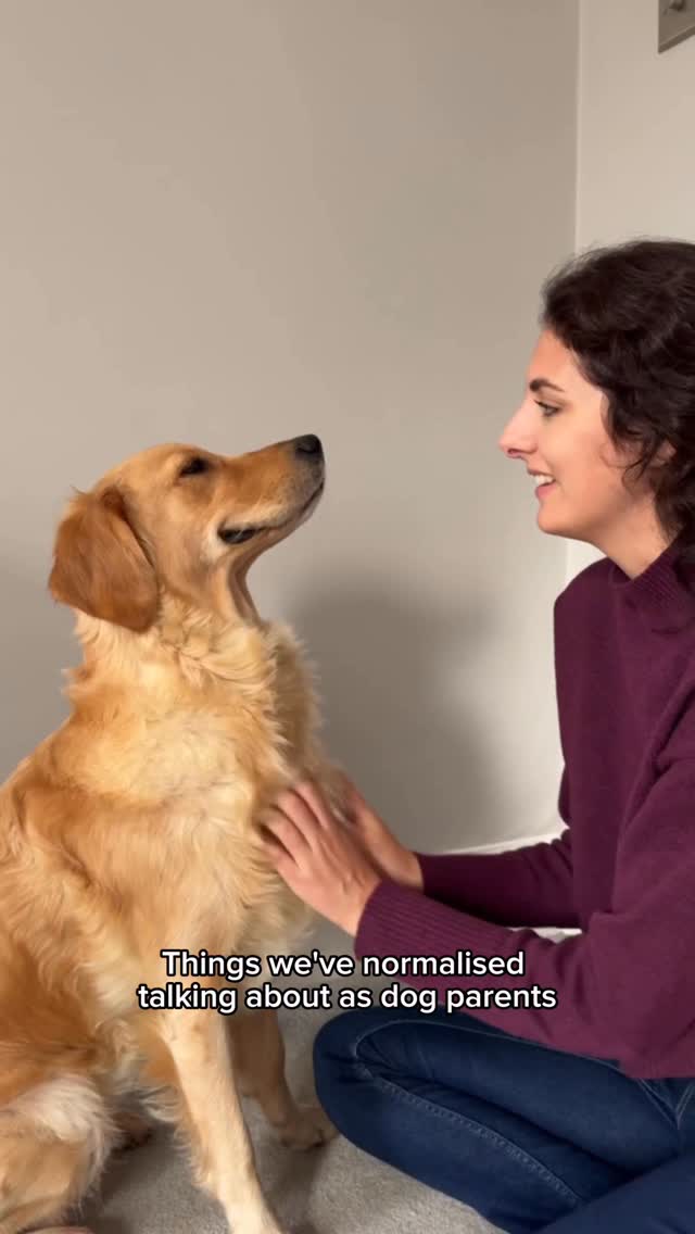 Instagram post by @nellthegoldenretriever for YuMOVE. Caption reads: How often do you talk about your dog’s poop?💬....