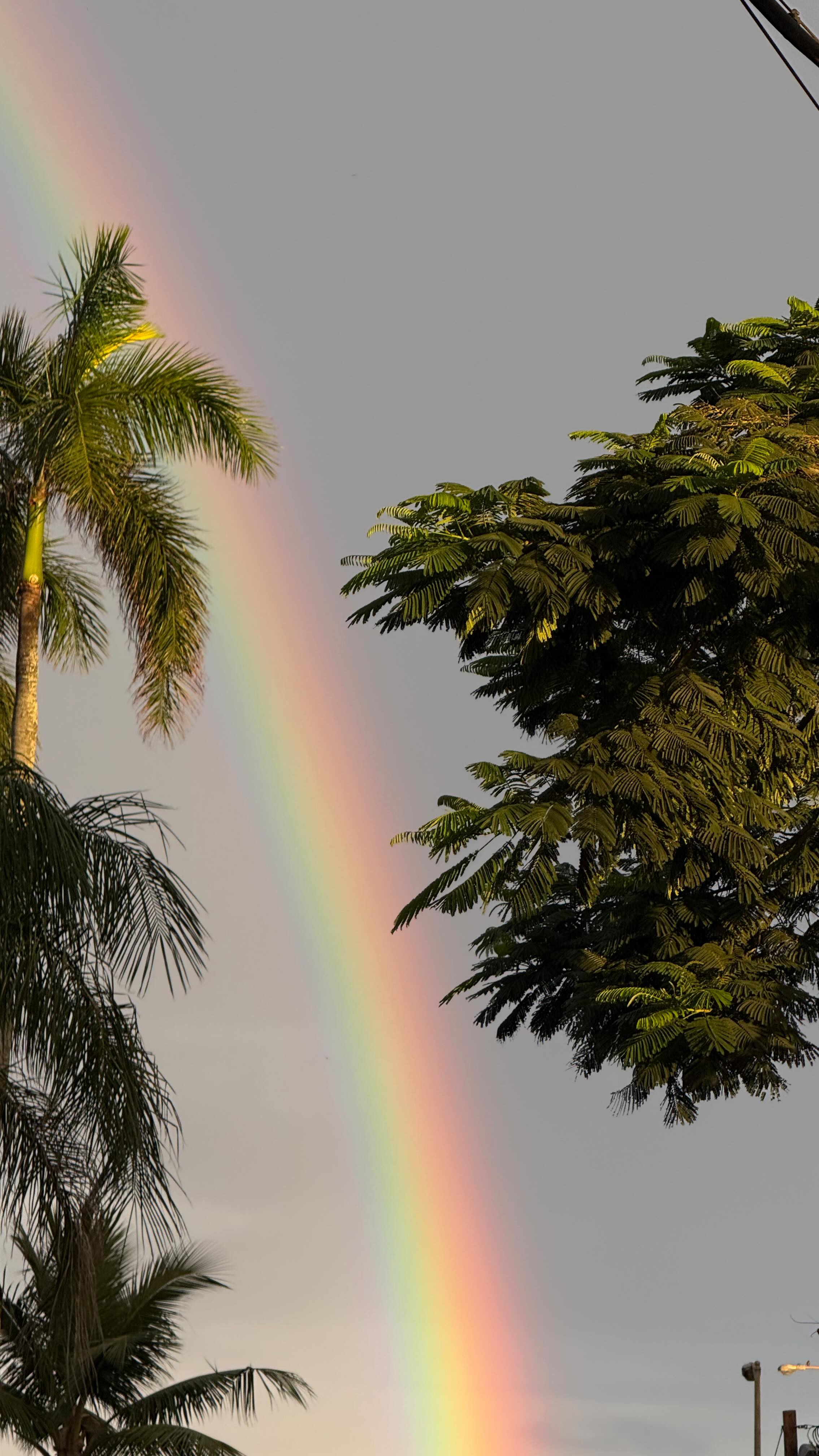 Instagram post by @taympala for Birkenstock. Caption reads: would ya believe me if I told ya these cozy....