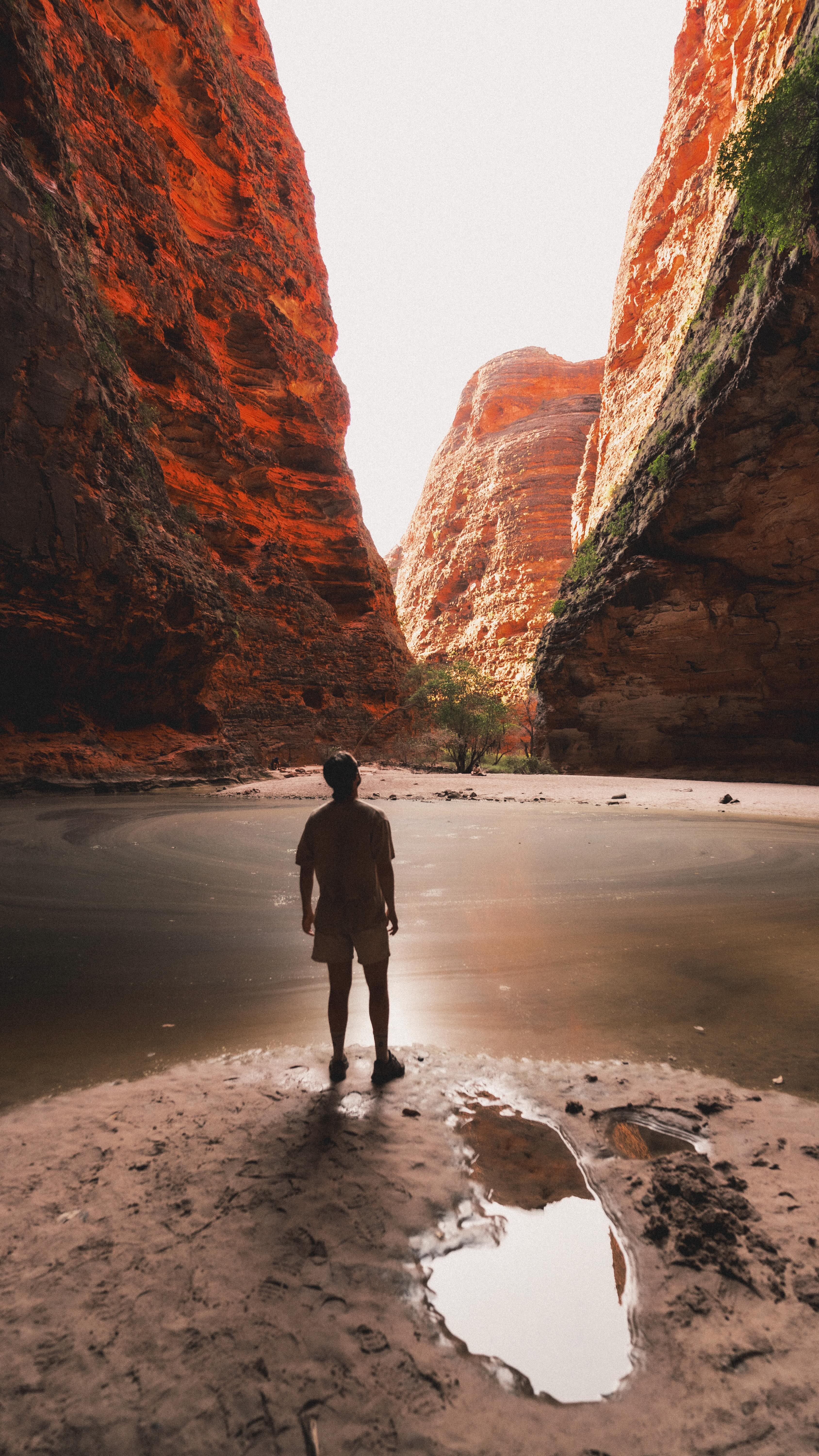 Instagram post by @chasingdain for Wix. Caption reads: And just like that… a business was born 👇

4....