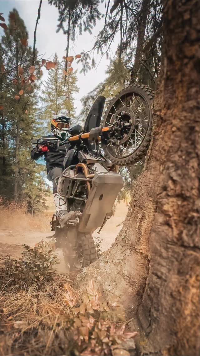 Instagram post by @samkingvibe for Outback Motortek. Caption reads: Unusual tree-climbing stunt with a BMW R 12 G/S.....