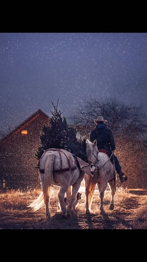 Instagram post by @d.annboal for Profoto. Caption reads: No snow yet, so revisiting last year’s first snow....