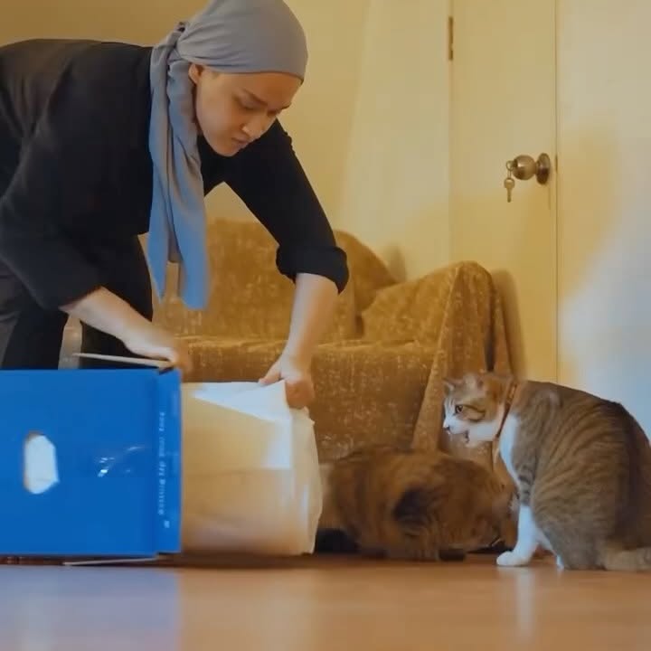Instagram post by @dianmuhd for Joey Mattress. Caption reads: [...] So my fur bosses made me get this Joey....