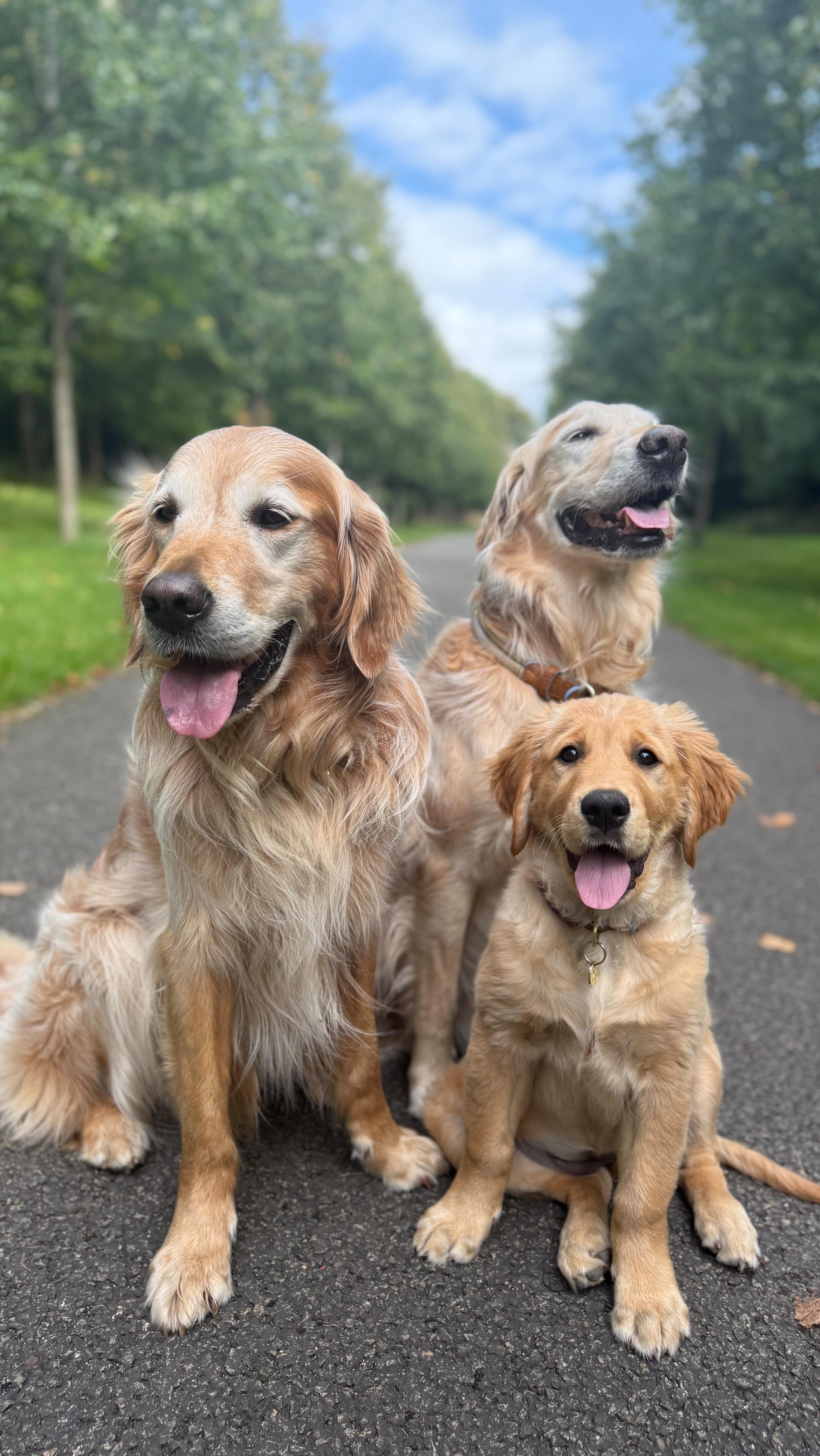Instagram post by @hugoandursula for Arden Grange. Caption reads: Mealtimes look a little different these days 💚....