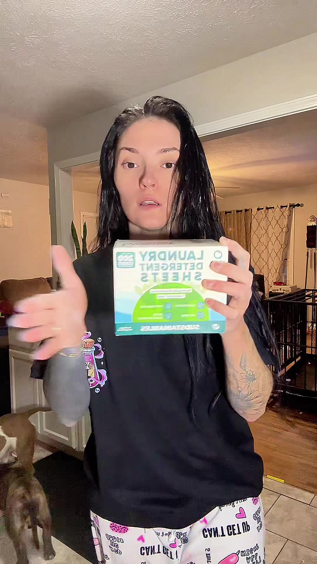 TikTok post by @lacey.jasmineee for Sudstainables. Caption reads: [...] #home #fyp #viralvideo #viral @Sudstainables.