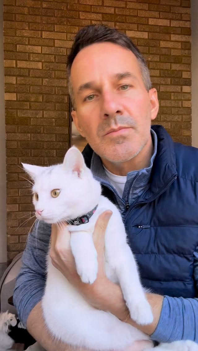 Instagram post by @dr.mattmcglasson for Fera Pets. Caption reads: Comment “BLADDER” to shop Fera Pet’s Bladder....