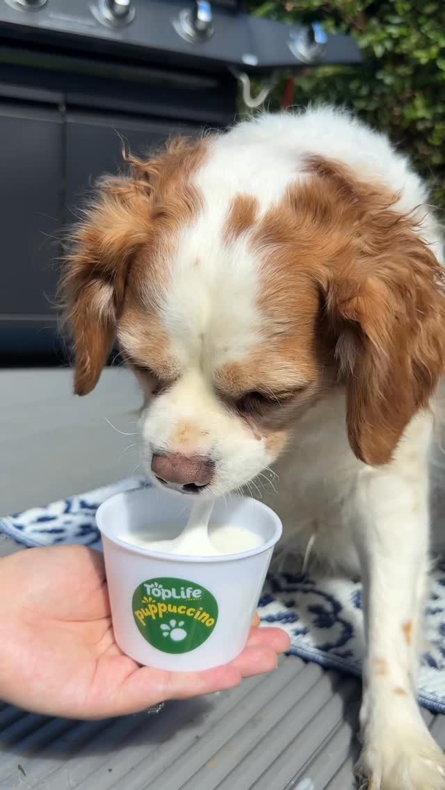 Instagram post by @newfoodspotteruk for The Range. Caption reads: 🐾 NEW from @toplife_formula! 🐶 Introducing the....