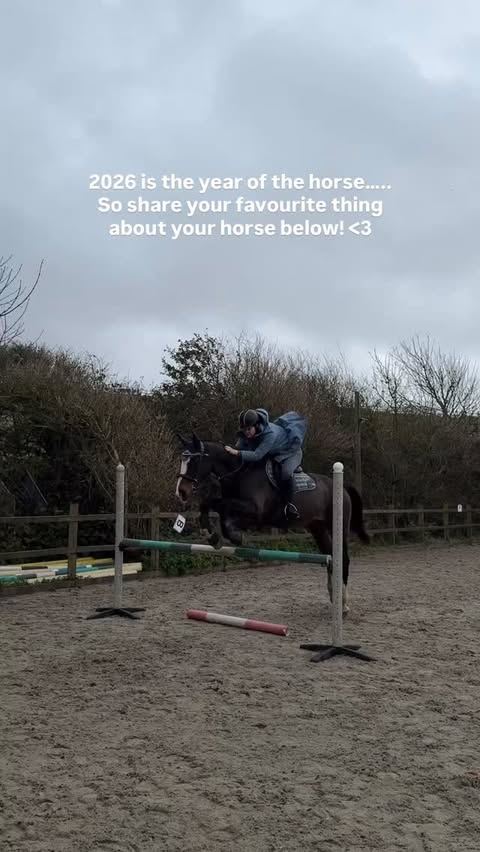 Instagram post by @canterring for Charles Owen. Caption reads: (Or horse you ride!)
(Ad gifted items....