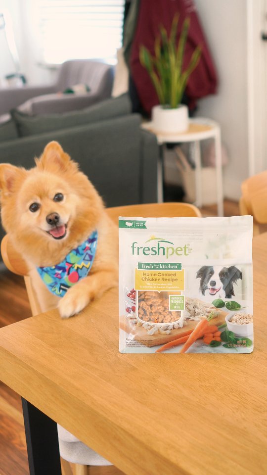 Instagram post by @ardentreverie for Freshpet. Caption reads: Kona’s meals deserve the same care I put into mine....