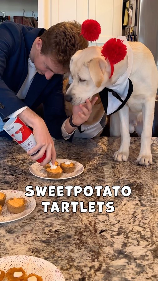 Instagram post by @whiskeybearthelab for NC Sweetpotatoes. Caption reads: [...] and strong. go make recipes with nc....