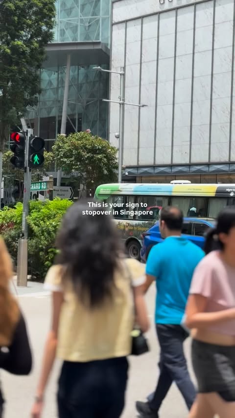 Instagram post by @traveltheworldfamily for Hilton Hotels & Resorts. Caption reads: This is your sign to stopover in Singapore ✨

A....