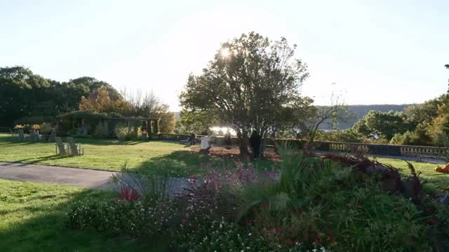 Instagram post by @yokoono for NBC News. Caption reads: Yoko Ono ‘Wish Tree’ in Full Bloom
NBC Nightly....
