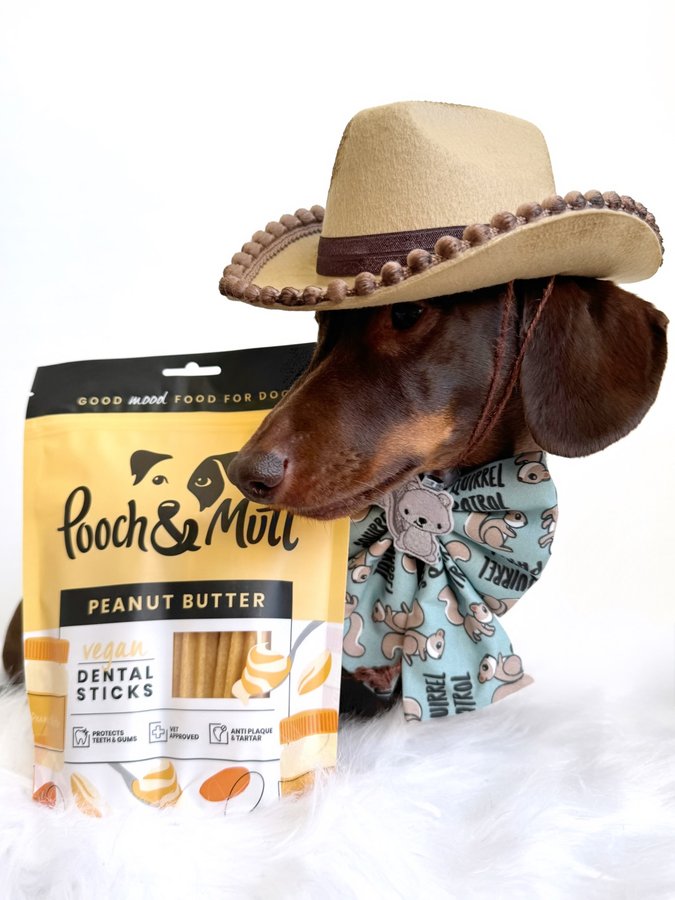 Instagram post by @frankie_dachshund03 for Pooch and Mutt. Caption reads: Im on squirrel patrol collecting nuts for....