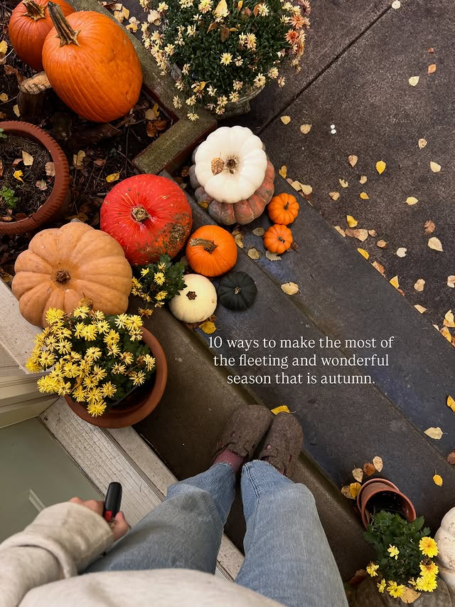Instagram post by @thesunalsoreads for ASUS. Caption reads: #ASUSPartner Autumn seems to go by so quickly....