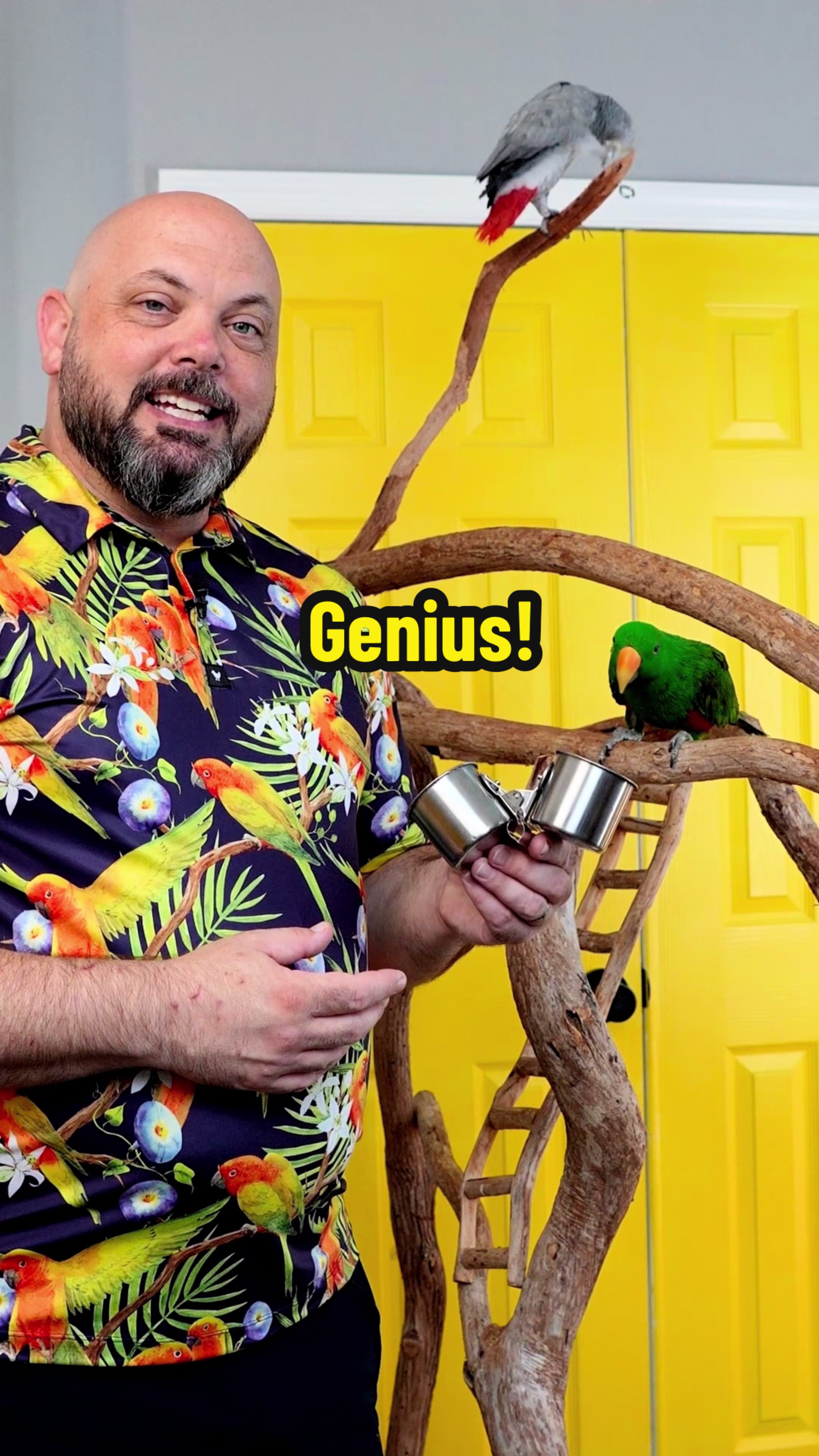 TikTok post by @blueplanetpets for Chewy. Caption reads: [...] everyday problem for my birds. Found on....