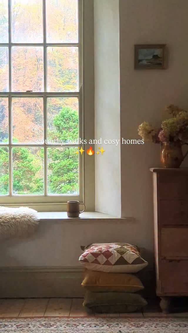 Instagram post by @parkplacegower for The Cotswold Company. Caption reads: There's something about dog walks at this time of....