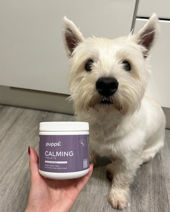 Instagram post by @ronniethewestie for Pupps. Caption reads: Feel Good Friday 🤩 

.

Can’t recommend these....