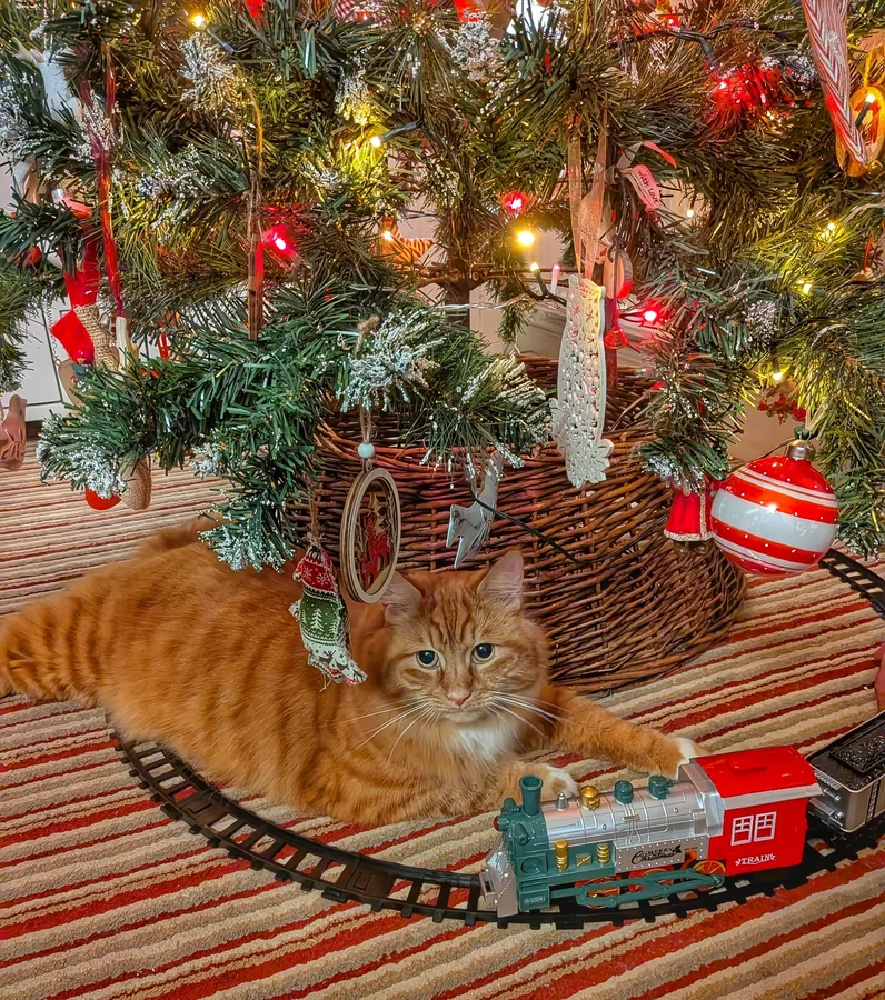 Instagram post by @talesfromwisteriacottage for Scrumbles. Caption reads: ✨🎀 Happy Monday✨🎀

Here at Wisteria Cottage, the....