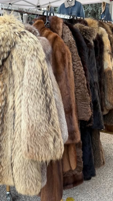 Instagram post by @saradeanii for REVOLVE. Caption reads: Wrapped in fur
@revolve @loversfriendsla....