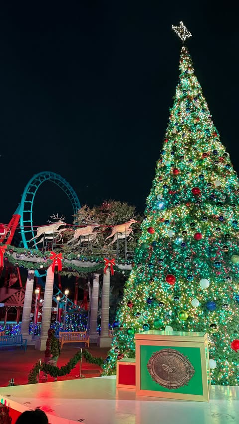 Instagram post by @adri.around.town for Six Flags. Caption reads: [...] of year holiday in the park is back at....