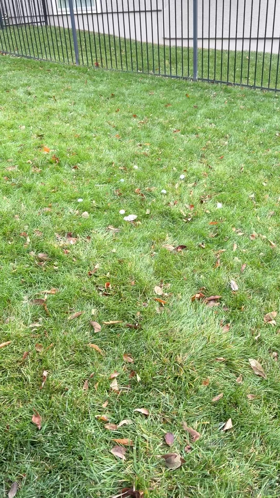 TikTok post by @dave_mvc55 for Arttodo Golf. Caption reads: [...] #tiktokshopcybermonday @arttodogolf .