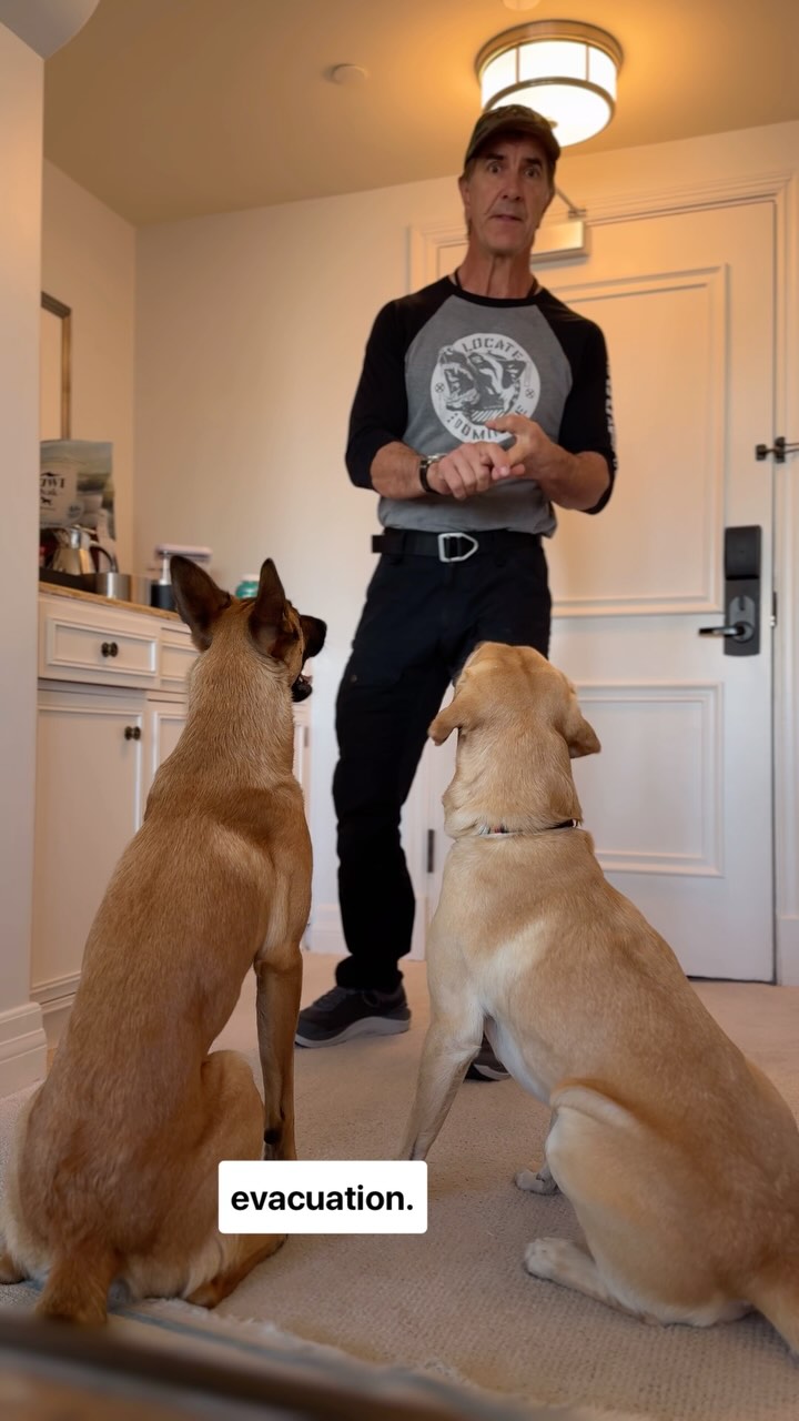 Instagram post by @robertcabral for ZIWI Pet Food. Caption reads: Whether you’re traveling or evacuating for an....