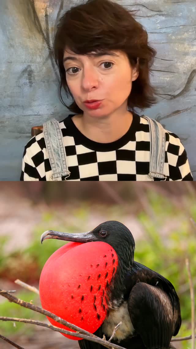 Instagram post by @katemicucci for NATURE. Caption reads: This bird is called… the bubblegum buttface? 🤔.