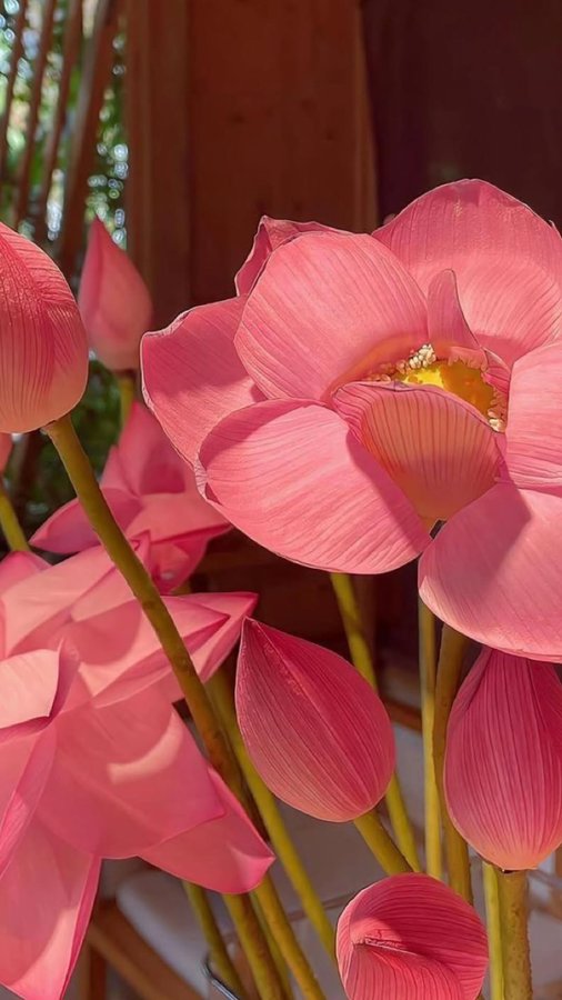 Instagram post by @y.smn.e for Falscara. Caption reads: [...] magic ✨ Trying my @kissproducts Lash....