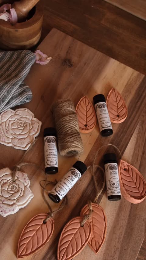 Instagram post by @sibster for Anima Mundi Herbals. Caption reads: [...] ones, then finished with oils from....