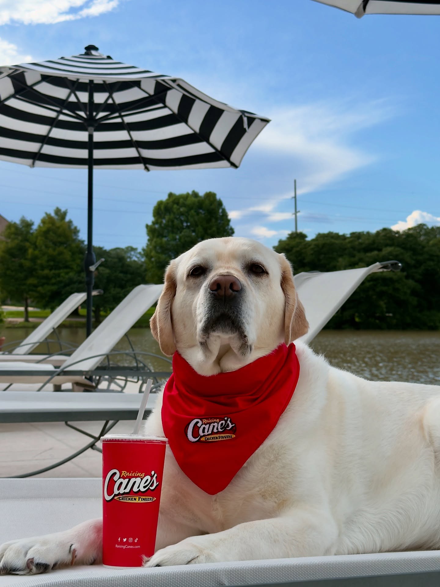 Instagram post by @raisingcane3 for Raising Cane's. Caption reads: Summer Sweet Tea Time.