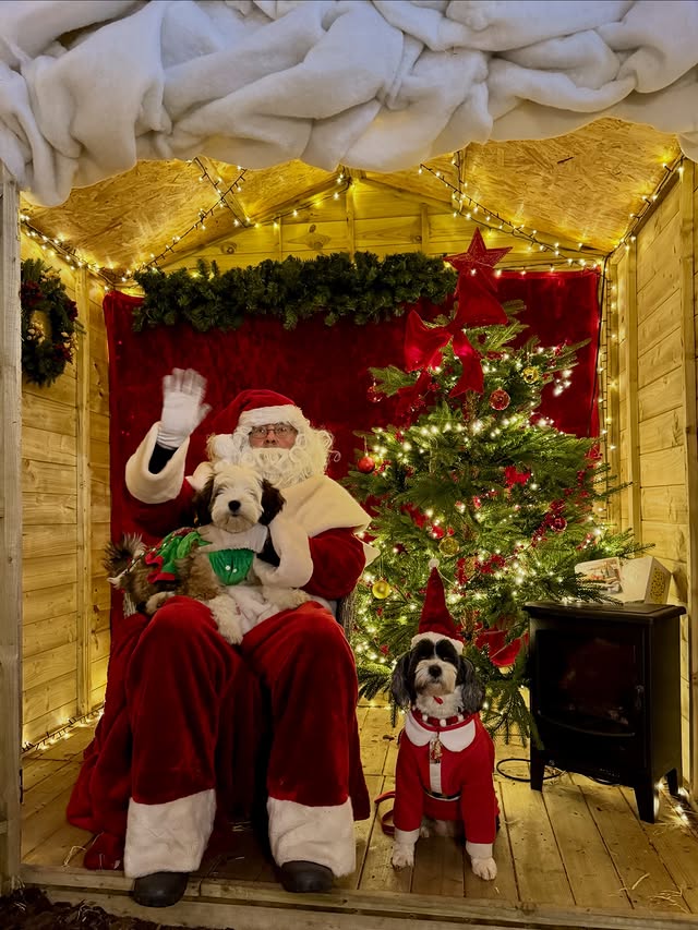 Instagram post by @corrie_and_co for Poochie Pals. Caption reads: 🎁🎅 Every Gift Is A Little Piece Of Santa 🎅🎁....