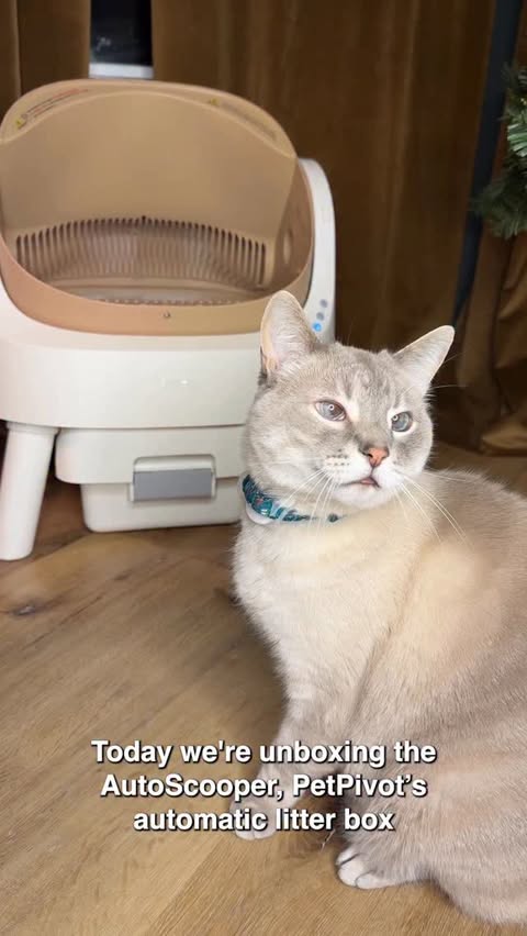 Instagram post by @realmotherofcats for PetPivot. Caption reads: Christmas $35 off. Link is in my bio! @petpivot....