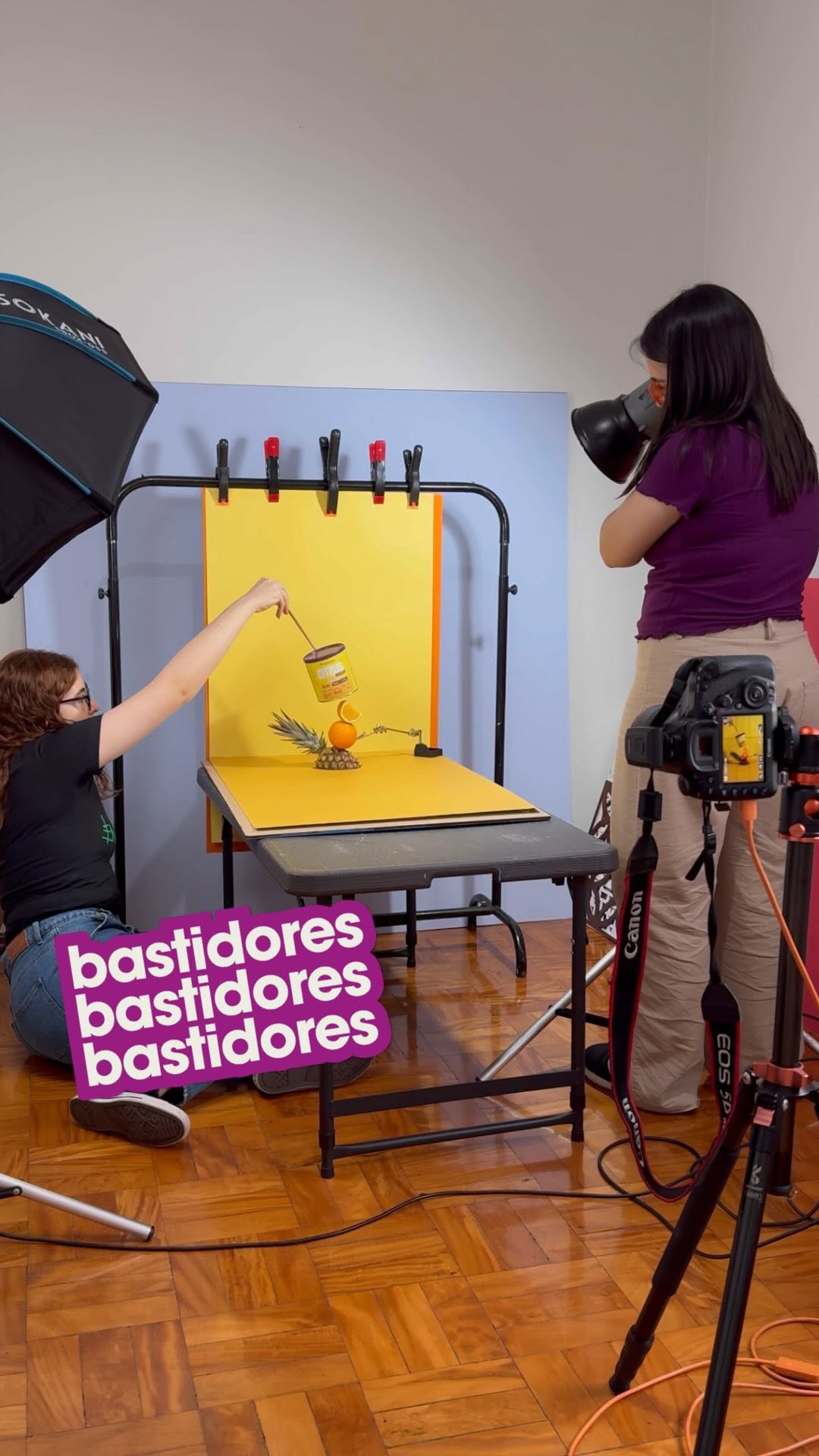 Instagram post by @deboralemos for Sanavita. Caption reads: A Sanavita me chamou pra fotografar mais um....