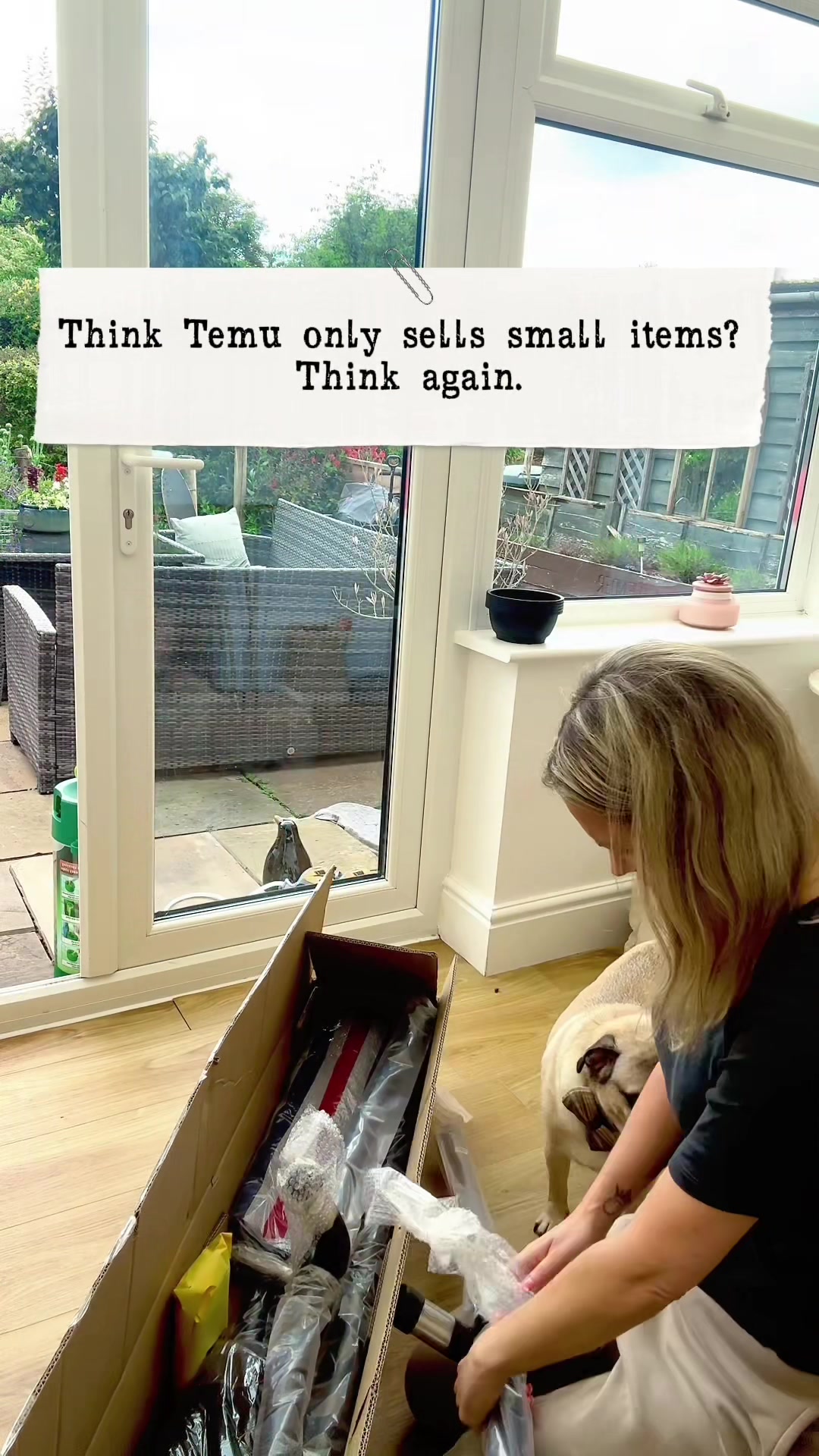 TikTok post by @bipolarpugs for hetalsartkhan. Caption reads: POV: You think TEMU only sells small random....