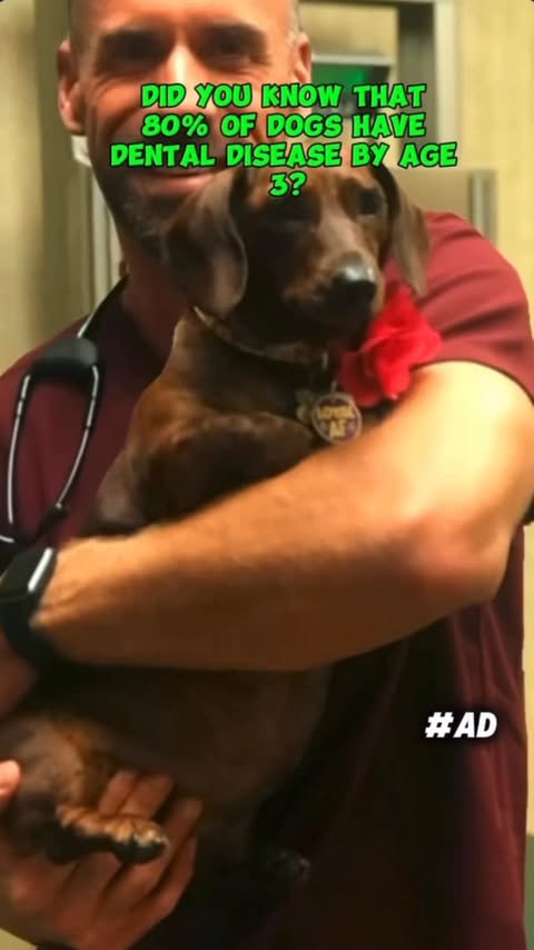 Instagram post by @adam_christman for Greenies. Caption reads: [...] Dental Health Challenge by feeding GREENIES™....