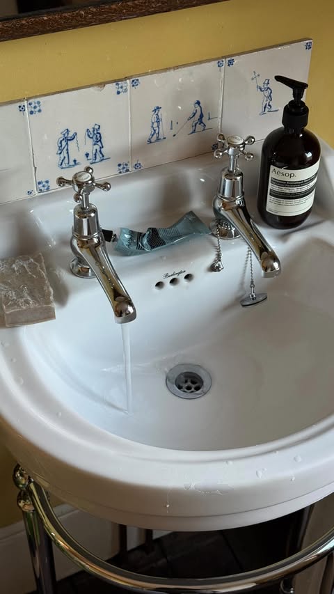 Instagram post by @kirthanaa for Aesop. Caption reads: [...] of my home is full! grateful for the @aesop....