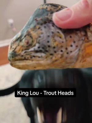TikTok post by @finleytalksaboutit for King Lou. Caption reads: [...] dog try a whole trout head? 🐟 This is King....