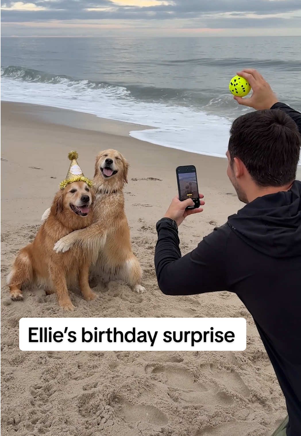 TikTok post by @elliegoldenlife for 1800Flowers. Caption reads: #USAAPartner We wanted to make Ellie’s birthday....