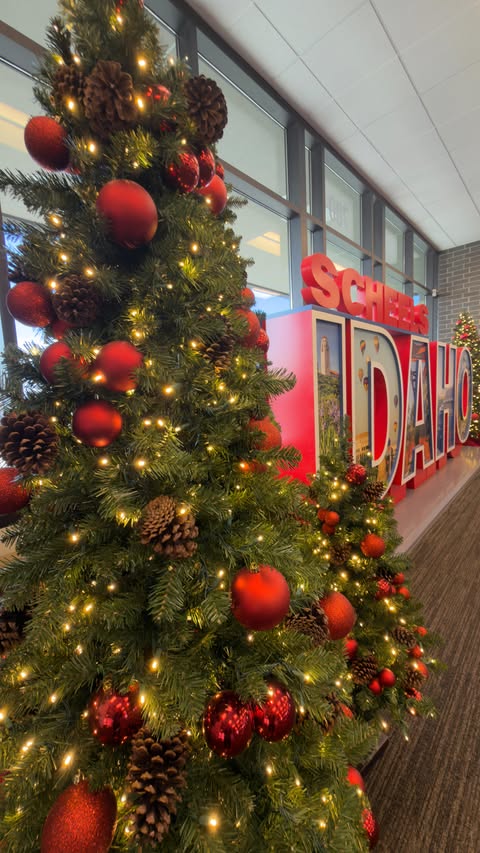 Instagram post by @merrills.on.the.move for SCHEELS. Caption reads: ❌CLOSED ❌ 

🎁 $500 SCHEELS SPORTS GIFT -AWAY!!!....