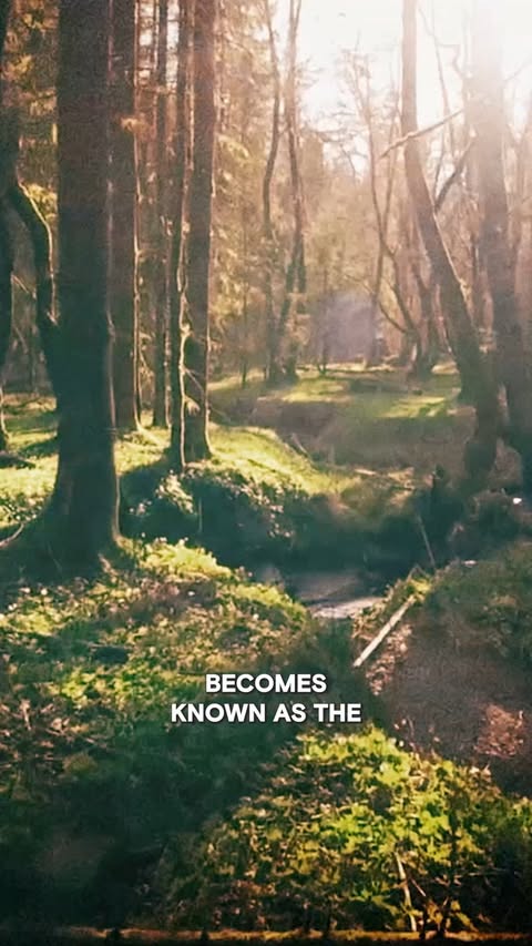 Instagram post by @therealdanaykroyd for HISTORY. Caption reads: The Mystery Airburst That Shook the World.....