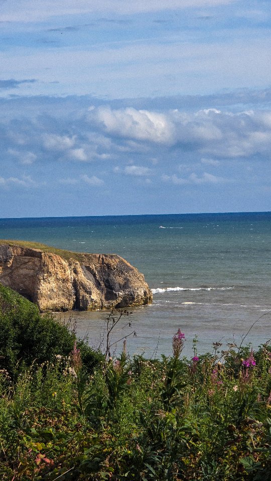 Instagram post by @spanielsbythesea for Kurgo. Caption reads: [...] @lanxshoes Spaniel harnesses and leads....