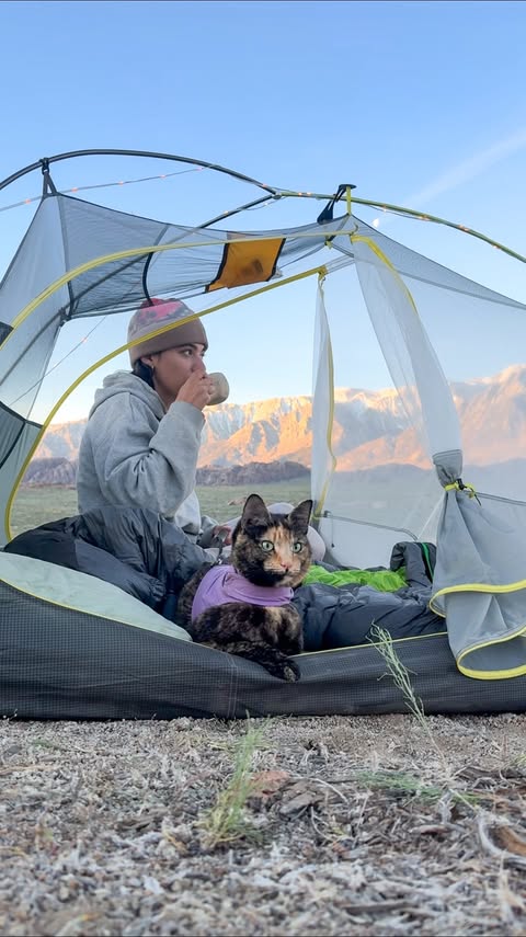 Instagram post by @scarletandseth for Honey Stinger. Caption reads: mornings like this can’t be beat 😩 @honeystinger....