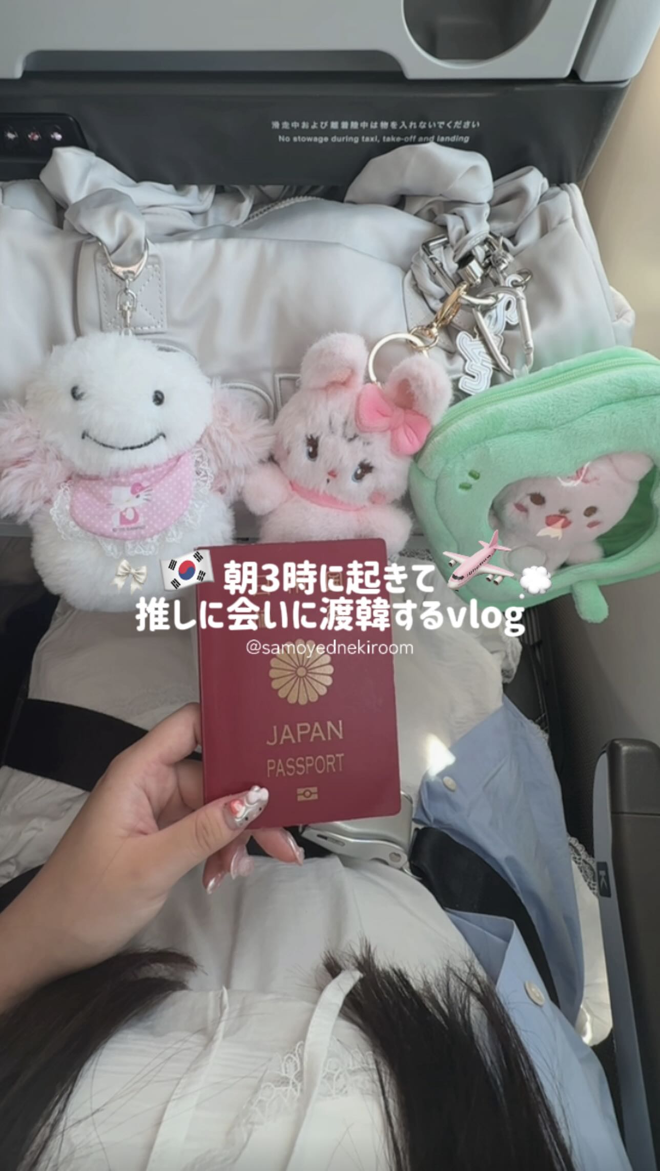 Instagram post by @samoyednekiroom for Cicibella. Caption reads: 朝３時に起きて渡韓する女のvlog🇰🇷𐙚⋆.˚ 
キャリーケースは....