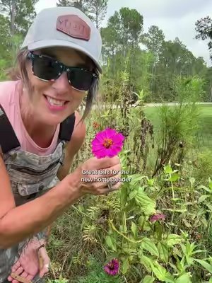 TikTok post by @gpsfunnyfarm for LUSH&DEW. Caption reads: [...] garden, this seed saving toolkit from....
