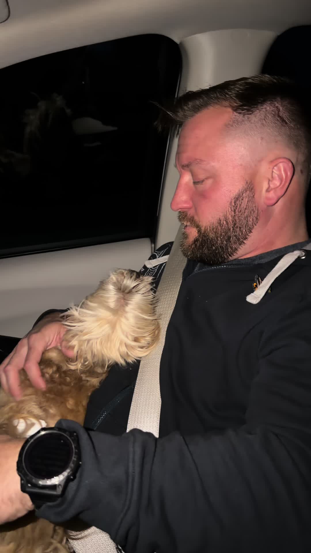 TikTok post by @tbug89 for HoneyCarePet. Caption reads: From dog diapers to cat litter Homeycare has got....