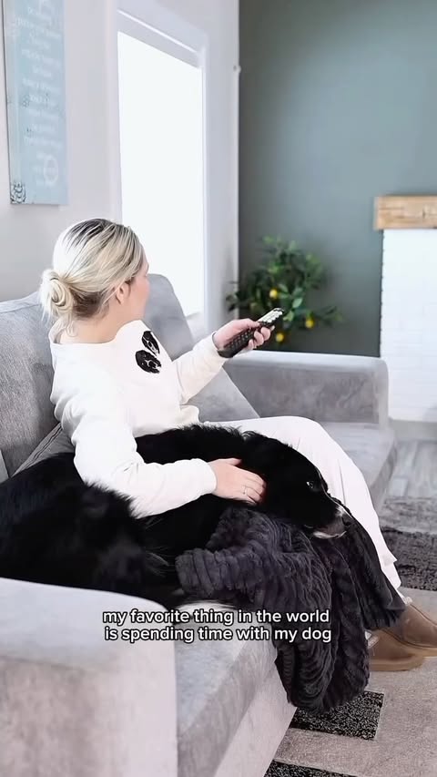 Instagram post by @curedbydogs for Tractive. Caption reads: He’s so much more than ‘just a dog’🥺

Only dog....