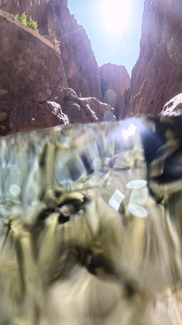 Instagram post by @mitchellpettigrew for Intrepid Travel. Caption reads: GoPro x Intrepid Travel 
Morocco 🙏🏼📍Todra Gorge....