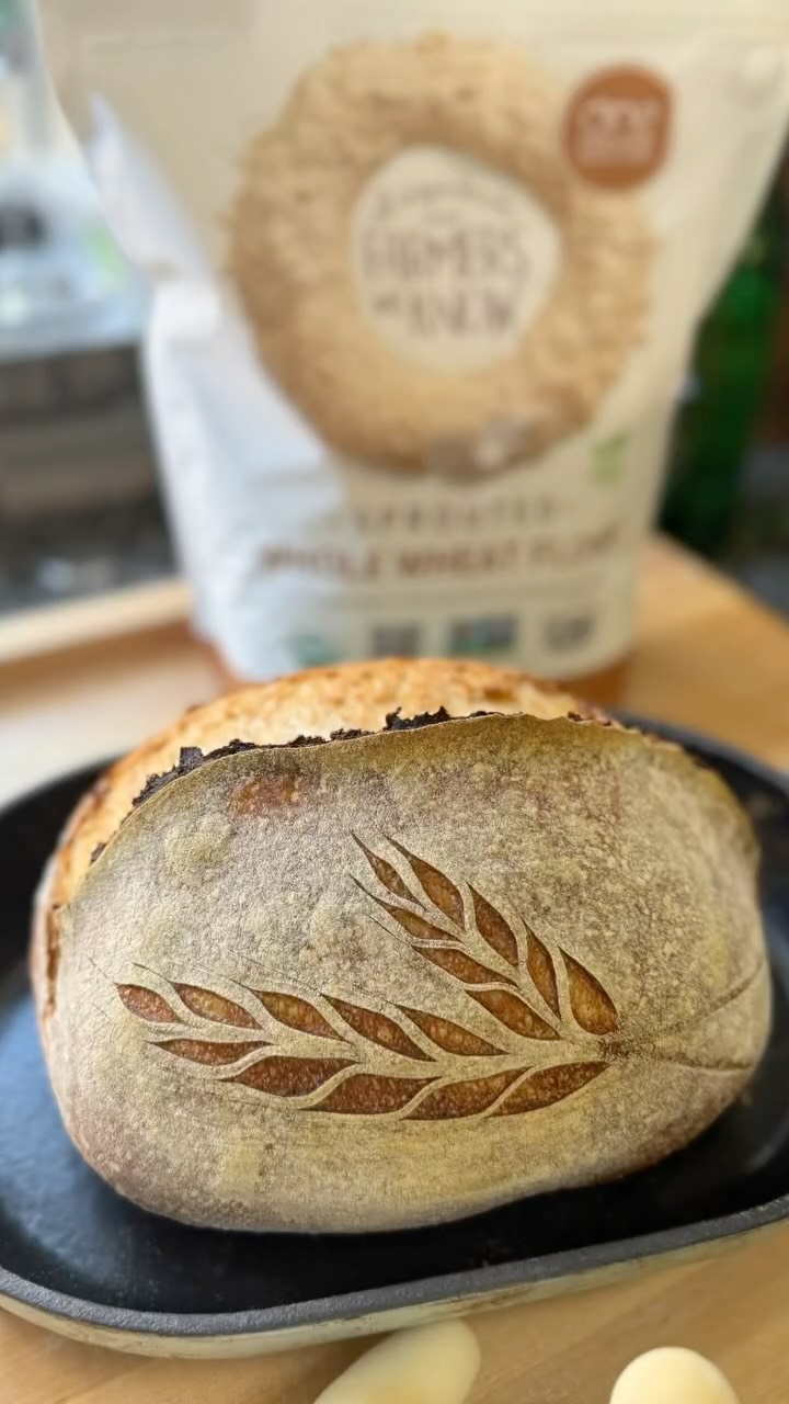 Instagram post by @wiremonkeyshop for One Degree Organics. Caption reads: Tried a new recipe using 15% @onedegreeorganics....